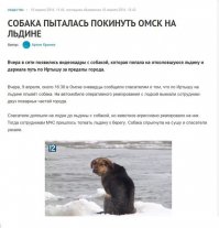 Говорят, там весело, но проверять не поеду.