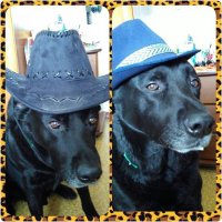 У меня тоже красавчик :)