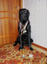 2,5 месяца, 5 лет, 10 лет