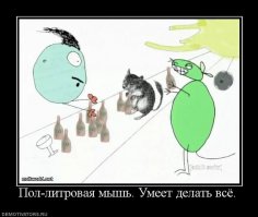 19 занимательных фактов о Джиме Керри