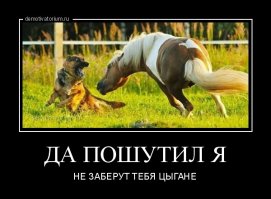 Ужасы цыганской свадьбы