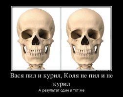 Самая горючая смесь для здоровья спортсмена