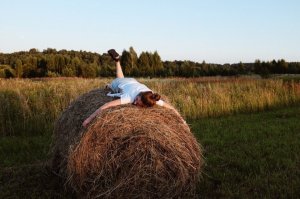 А тюк сена нынче тоже считается объектом искусства?докатились,мля