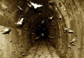 Скорее даже вот так