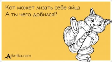 Эти моменты, когда совсем нечем заняться