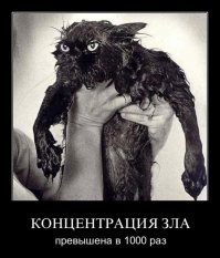 Злого до комплекта