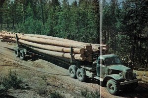 Вот не лесоруб, конечно, но лесовоз конкретный.