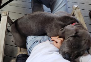 Не знаю, не знаю... я так одного приобрела, чтоб похудеть (вместо беговой дорожки). Так теперь, вообще, со стула не подняться: то кот, то этот вот теперь... :)