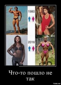 Доравноправились?