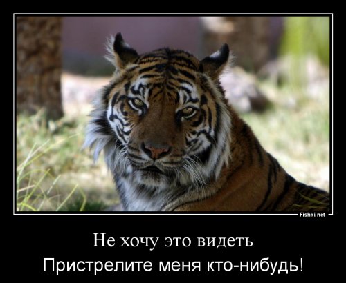 Голышом в защиту тигров