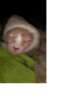 а вот наше исчадие радости