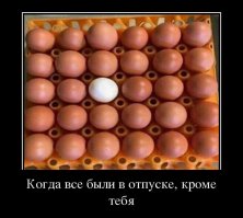Свежая подборка демотиваторов, которые поднимут вам настроение