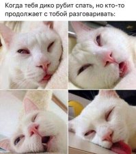 Забавные комментарии, шутки и фразы из интернетa