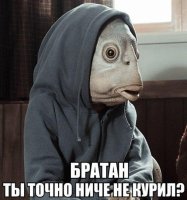 Апокалипсис глазами художников XVI века: что из этого сбывается уже сегодня?
