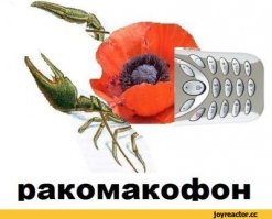 Смешные комментарии и высказывания из социальных сетей