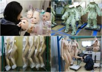 Как выглядят продукты и вещи до того, как обретают привычный нам вид