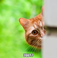 Жизнь, говоришь, не задалась?