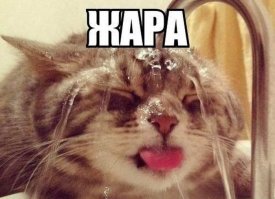 Так вот ты какой, кондиционер...