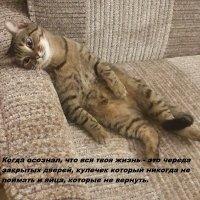 Очередная порция картинок с подписями