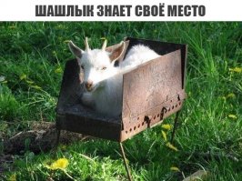 Очередная порция картинок с подписями