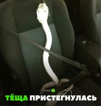 Подборка автомобильных приколов