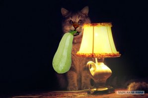 Веган-бодибилдер предлагает растительную диету для культуристов