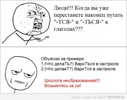 Коты vs Огурцов - Почему кошки бояться огурцов