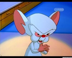 Самый жуткий в мире кот стал звездой instagram