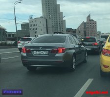 Хозяева газонов в Сокольниках