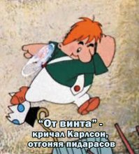 Без подписи, без объяснения: 27 фото, которые надо просто отправить друзьям