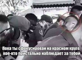 Без подписи, без объяснения: 27 фото, которые надо просто отправить друзьям