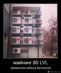 Без кондишки дохнут мышки