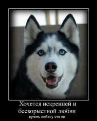 Позитива много не бывает