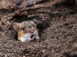 Фотоподборка за 16.08.2017