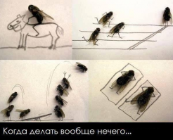 Доказательства того, что людям невероятно скучно жить