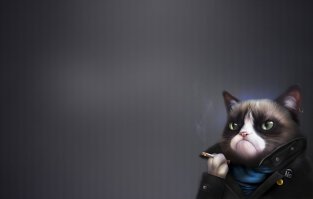 Вот так вот)