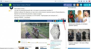 Проверь настройки ADblock. У меня ничего подобного нет.
