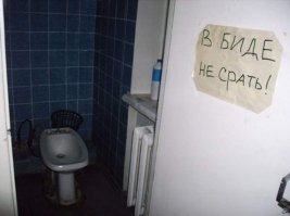 В туалетах Берлина установят писсуары для женщин и вот почему