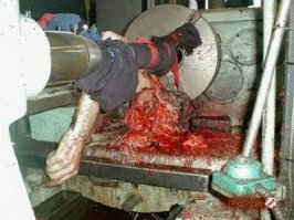 Я думал там фаршик для котлет, а тут...