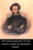 Одержимые селфи туристы поймали отбившегося от матери дельфиненка и замучили его до смерти