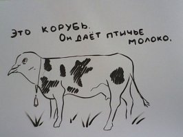 Смешные картинки