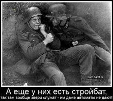 Без них пост не полный, а так понравилось + ;)