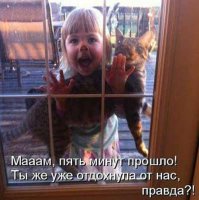 Смешные картинки с надписями