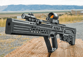 На днях в поезде напоролся на парнишку вот с такой пухой , звать Tavor ZRX ток у него ещё и барабанный магазин был .  Ваще красота . IMI до сих пор внушаит ! =с)