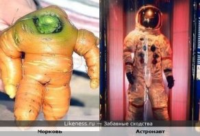 Удивительная история: канадка нашла пропавшее 13 лет назад кольцо в моркови