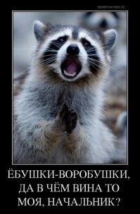 Полицейский застрелился при попытке добить енота прикладом