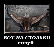 «Папина новая тачка» Instagram аккаунт о жизни неприлично богатых родителей