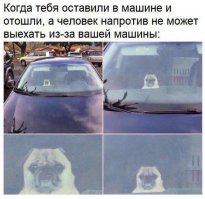 Прикольные комментарии из социальных сетей