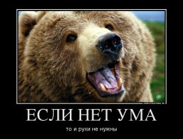 Пьяный житель Иркутска лишился руки, решив покормить медведей сгущенкой 