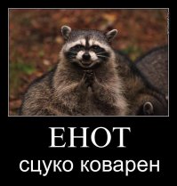 Полицейский застрелился при попытке добить енота прикладом